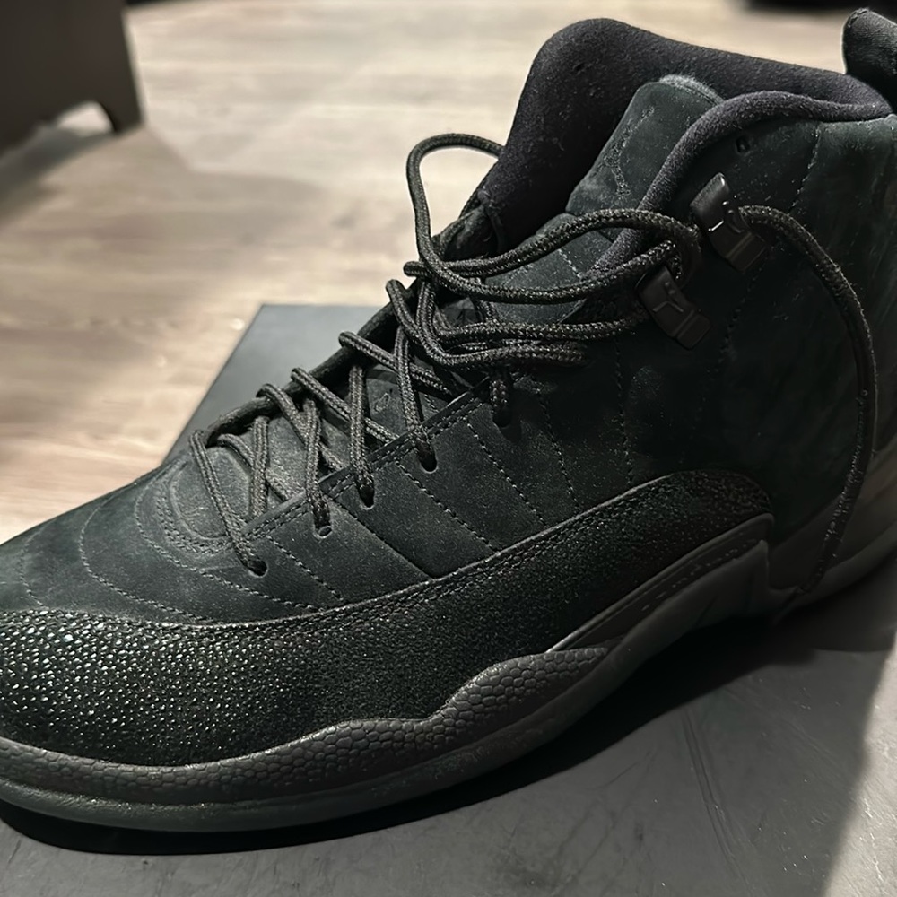 Air Jordan 12 Retro OVO Size 8